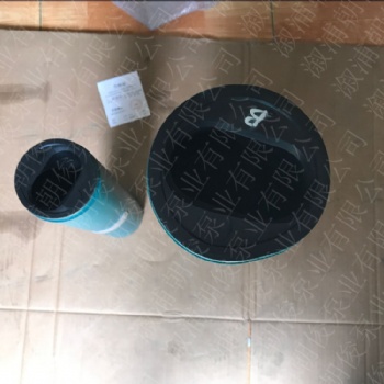 NM076SY03S18V發電廠點火泵轉子定子