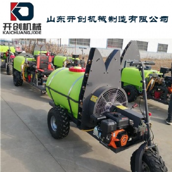 山東 200b 300a 農(nóng)用噴霧機(jī)廠家 高壓噴霧機(jī) 果園打藥批發(fā)價格