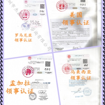 斐濟大使館財務(wù)審計/章程/周年申報表加簽