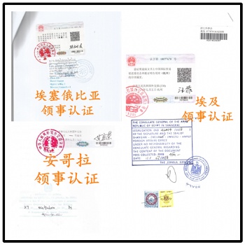 立陶宛領(lǐng)事館加簽分析證