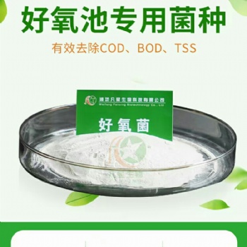 生化池運(yùn)營(yíng)微生物菌種好氧菌