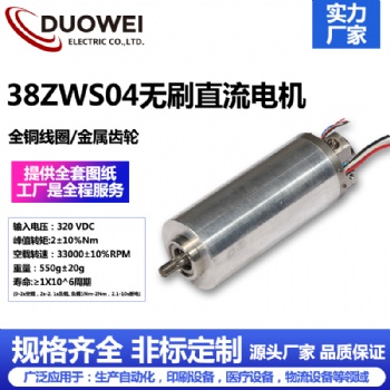 38ZWS04無刷直流電機(jī)