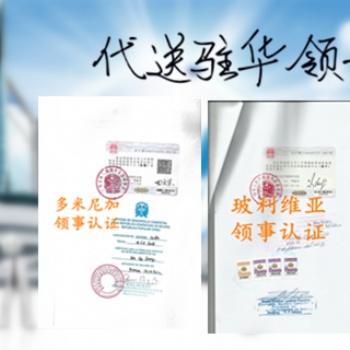 尼日利亞大使館簽章Invoice