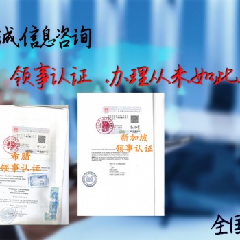 埃及商業(yè)Invoice使館蓋章