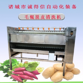 廠家供應(yīng)果蔬平行毛輥脫皮設(shè)備 桔梗黨參全自動(dòng)脫皮機(jī)