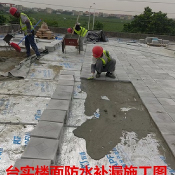 廣州臺實(shí)補(bǔ)漏服務(wù)公司，**公司，20年裝修補(bǔ)漏公司
